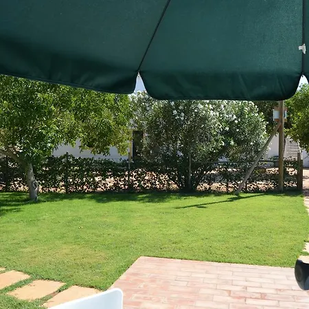Quinta Da Palmeirinha 1 *